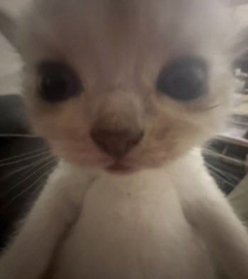 O güzel gülüşün